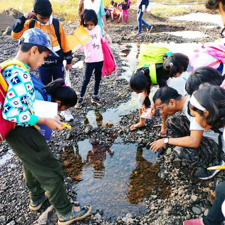 Pondering upon the pond